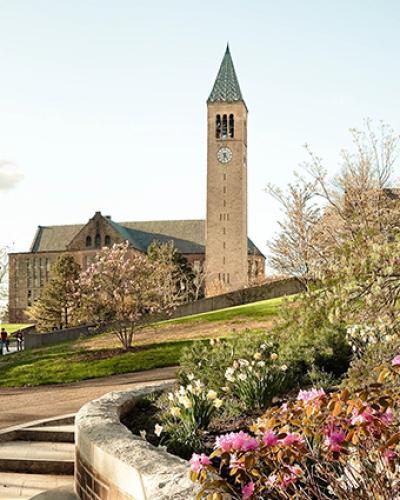Cornell Clock Tower